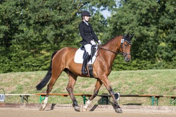 Bild 8 - Pony Akademie Turnier